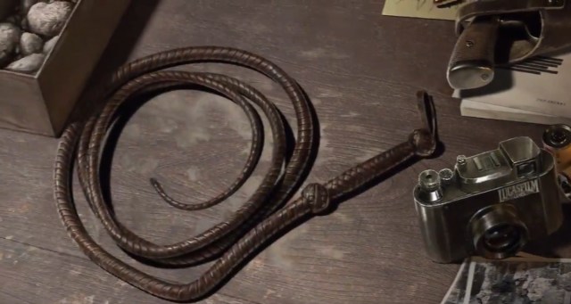 Bullwhip lying down on the table with a camera