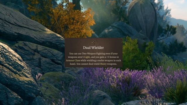 The Dual Wielder feat sits on a grassy background in BG3.