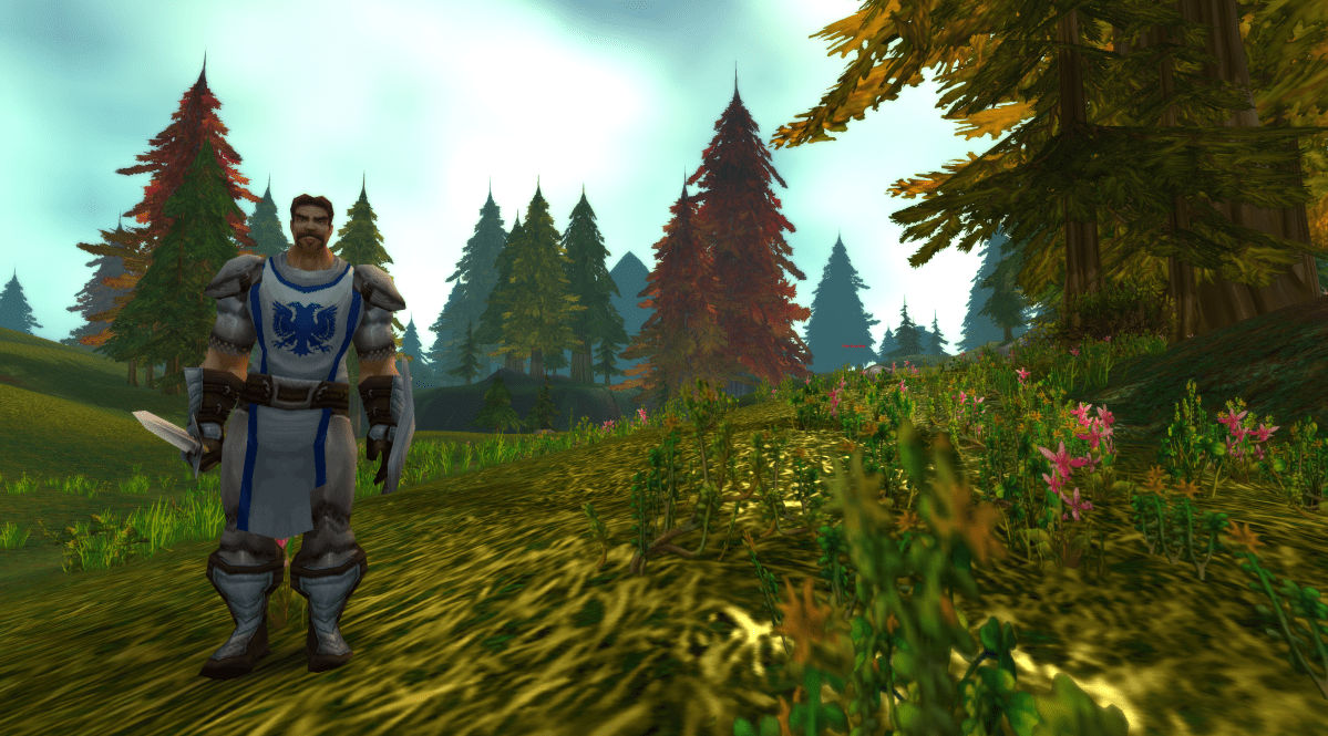A human guard dressed in blue and white armor in Southshore stands directly in front of a player in World of Warcraft