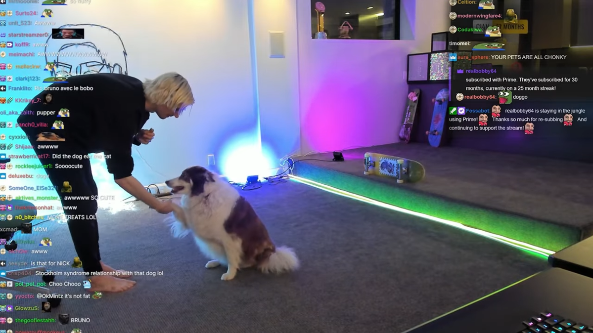 xQc having his dog do tricks on stream.