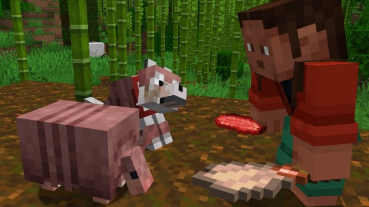 A player standing with an Armadillo and a Wolf.