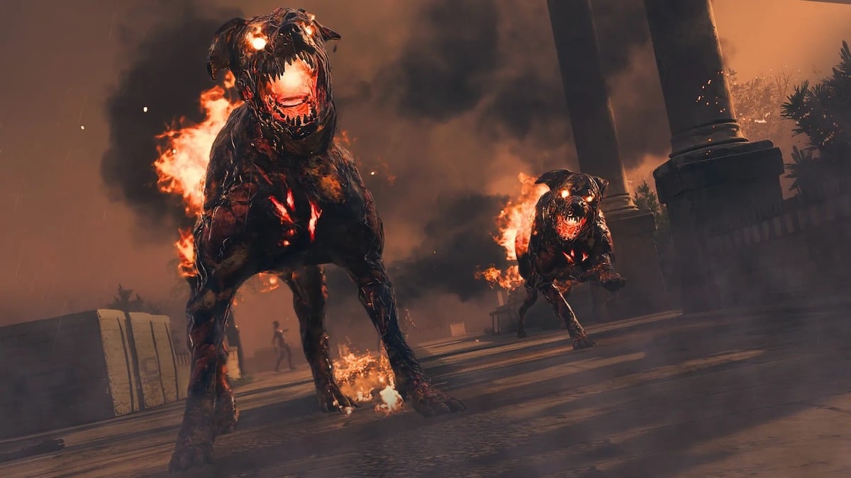 Hellhounds in MW3 Zombies