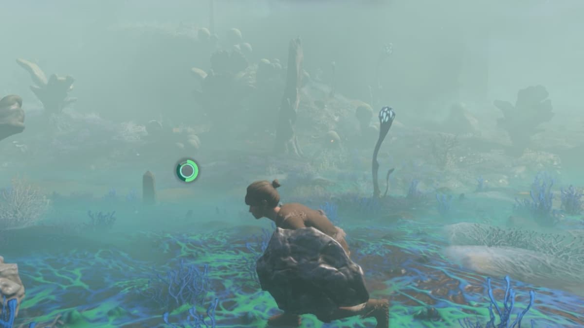 The player crouching down and exploring the Shroud.