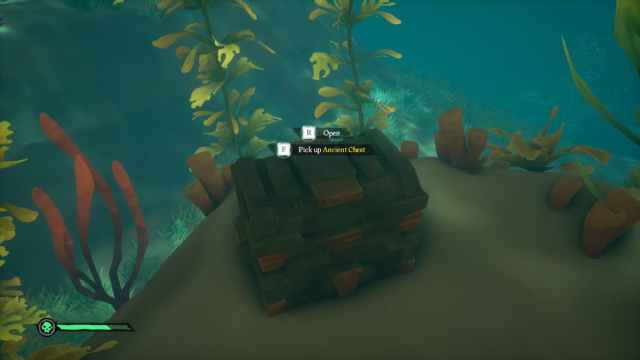 Ancient Chest lying underwater