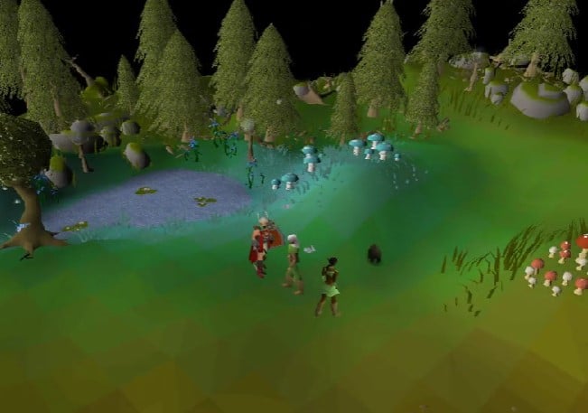 Player talking to Eluned in Old School Runescape