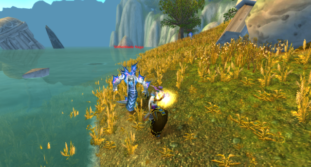 Night Elf Priest battling a naga in WoW Classic