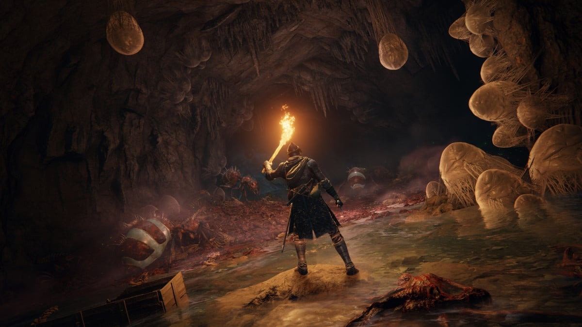 A character holding a torch in a cave in Elden Ring