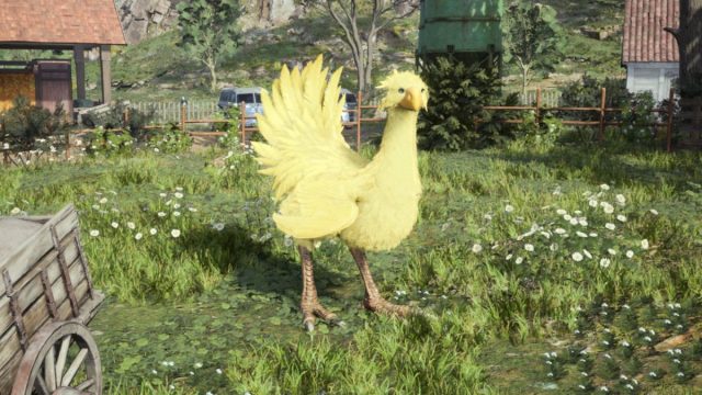 chocobo in final fantasy 7 rebirth