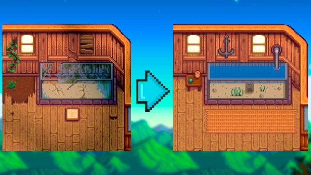 fish before and after repair SV