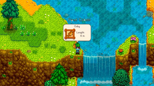 character catching goby for the first time SV