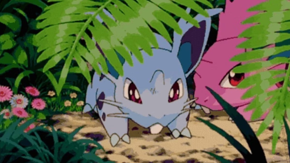 Nidoran Pokemon Anime