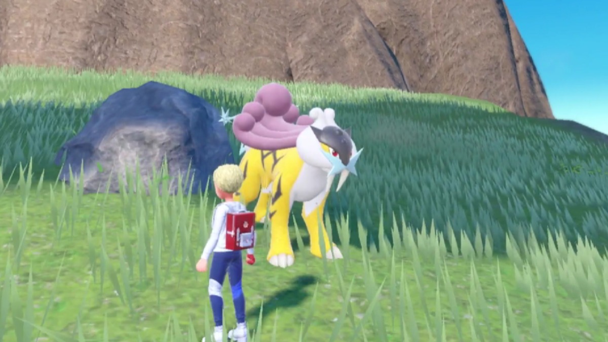 Raikou and a trainer standing next to each other in Pokemon Scarlet and Violet