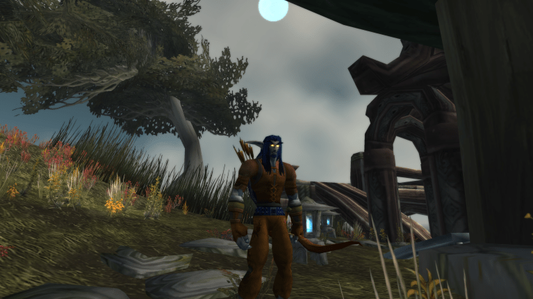 A Hunter standing in Darkshore in WoW Classic