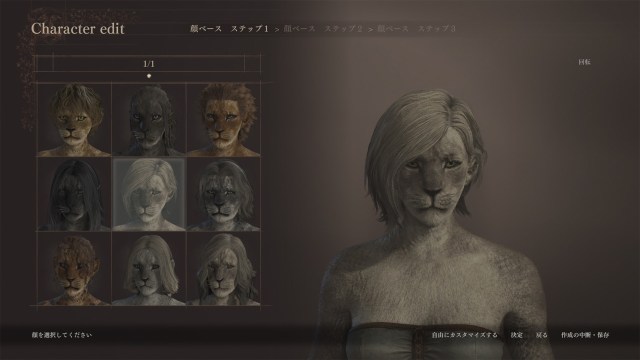 character creation hair styles in DD2