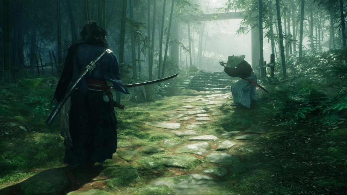 ninja in rise of the ronin