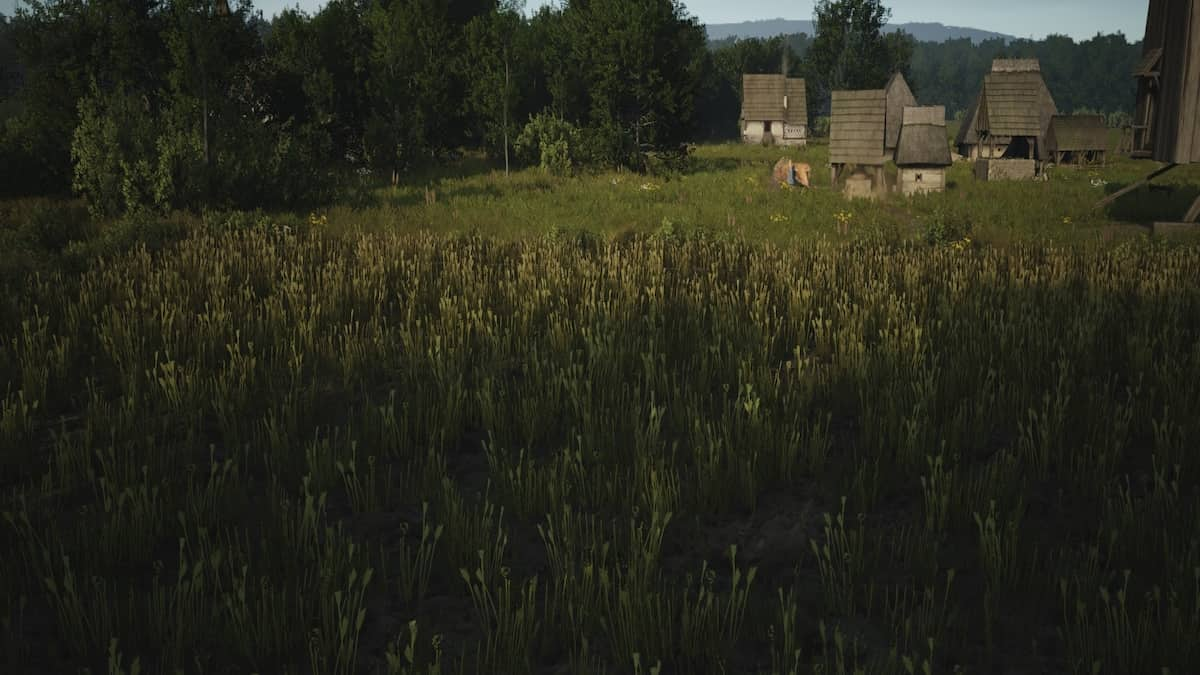 Manor Lords Farm Fields Wheat