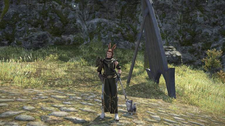 Torgal Pup minion in Final Fantasy XIV