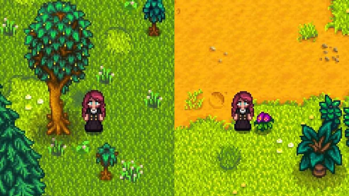 The player standing by a tree and a forage item in Stardew Valley.