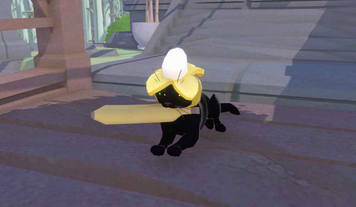 A black cat, wearing a peeled banana hat, sits on a wooden deck with a banana in his mouth.