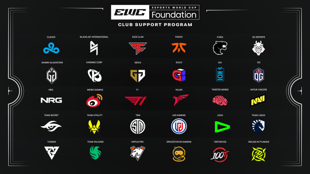 ESWC Foundation Club Support Program teams