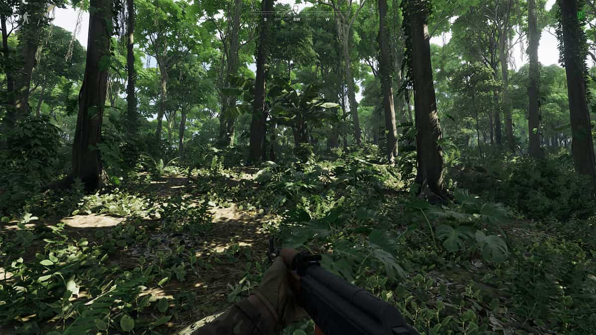 Forest interior of Gray Zone Warfare.