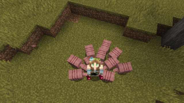 Armadillos following a player holding Spider Eyes in Minecraft.