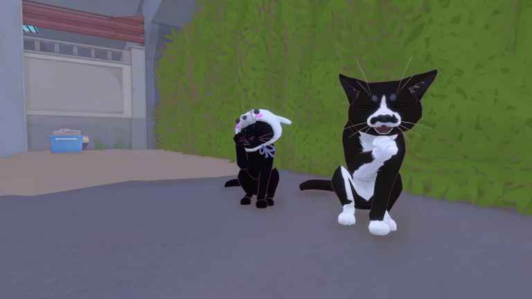 An in game image of the cat from Little Kitty Big City