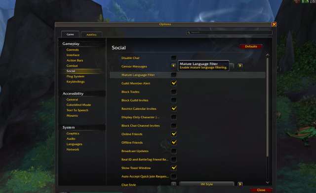 Mature Language Filter interface in WoW Dragonflight bugfix menu