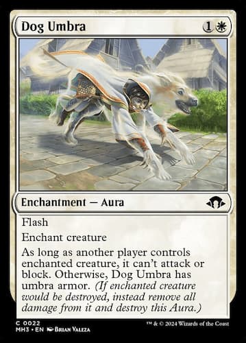 Dog and human pariing through magic on MH3 card