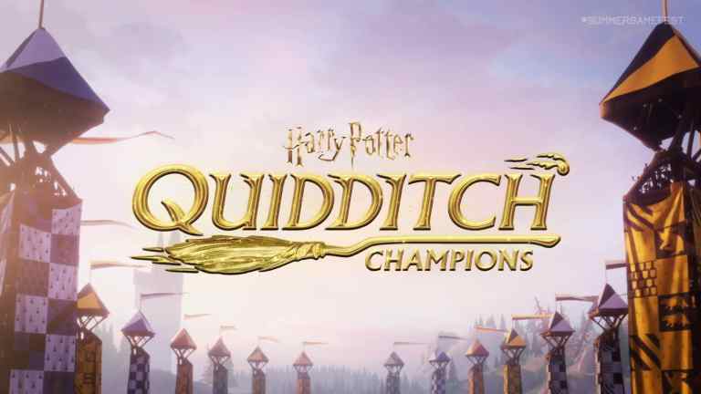 Quidditch Champions