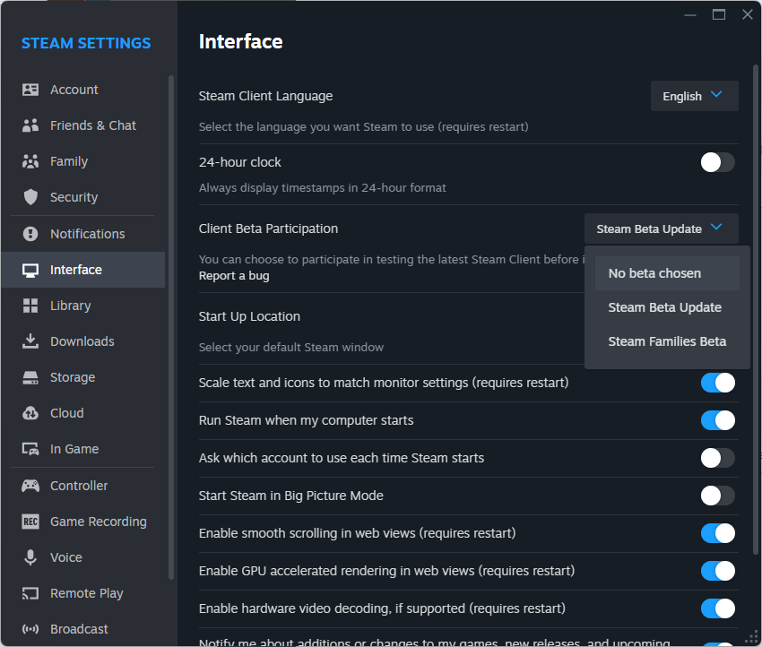 Steam Interface settings.