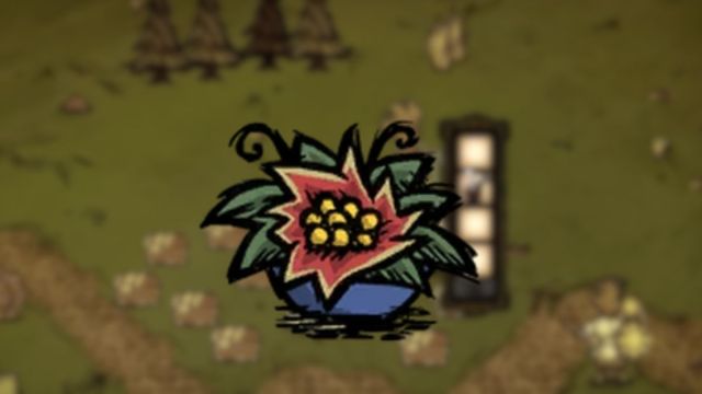 Flower Salad recipe in Don’t Starve Together