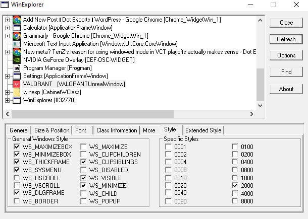 WinExp settings for VALORANT