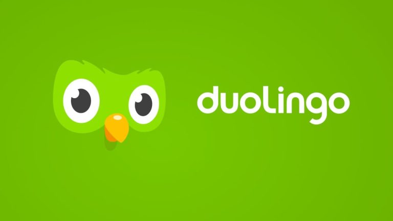 duolingo art