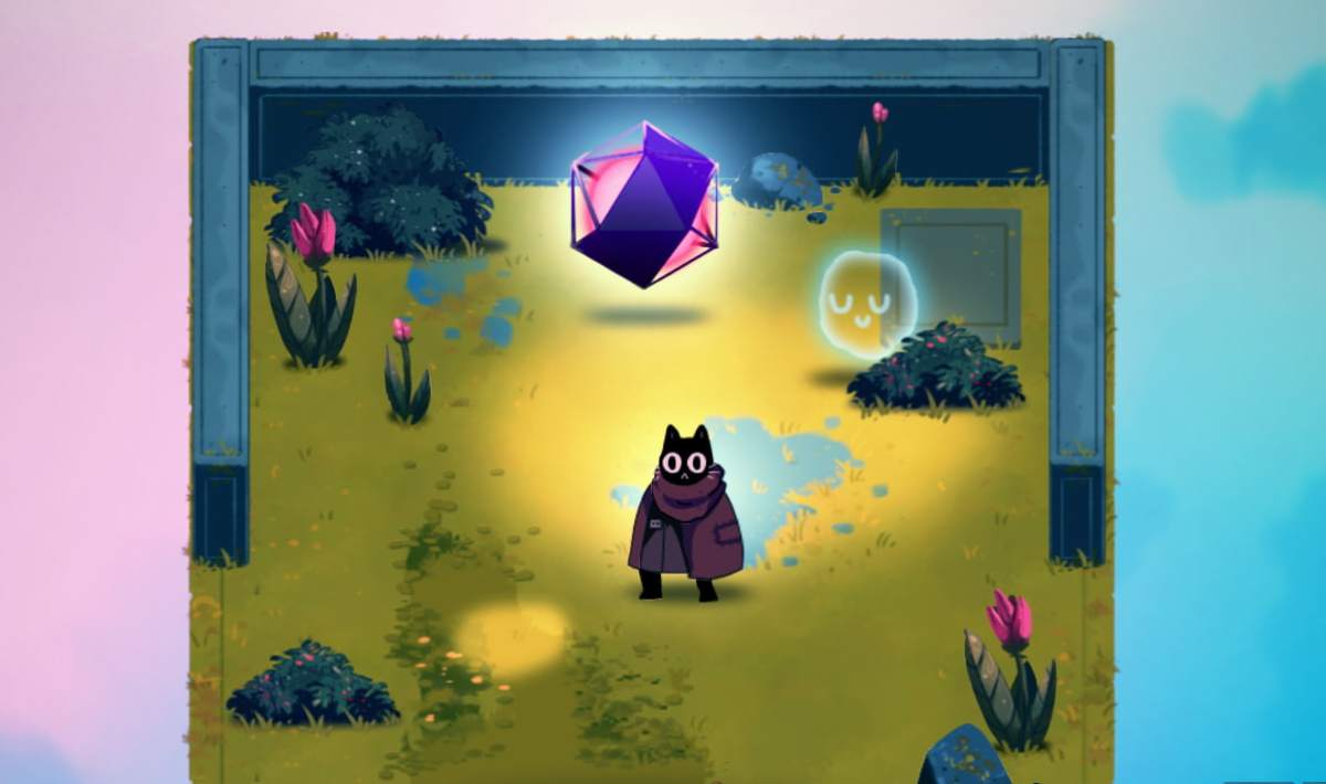 Pluto, a black cat wearing a red scarf and jacket, stands in front of a glowing pink orb wrapped in a purple wrap.