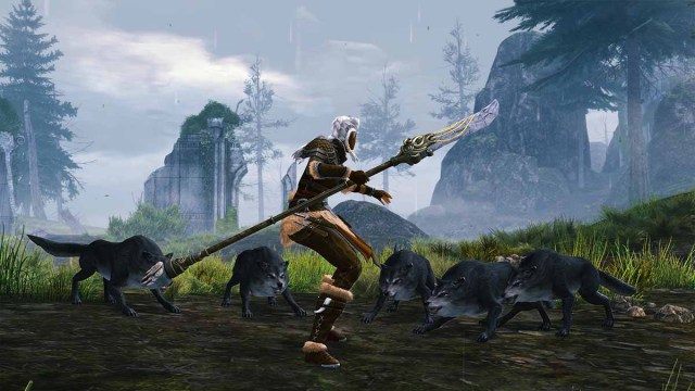 Guild Wars 2 character wielding a spear fighting wolves in Janthir Wilds