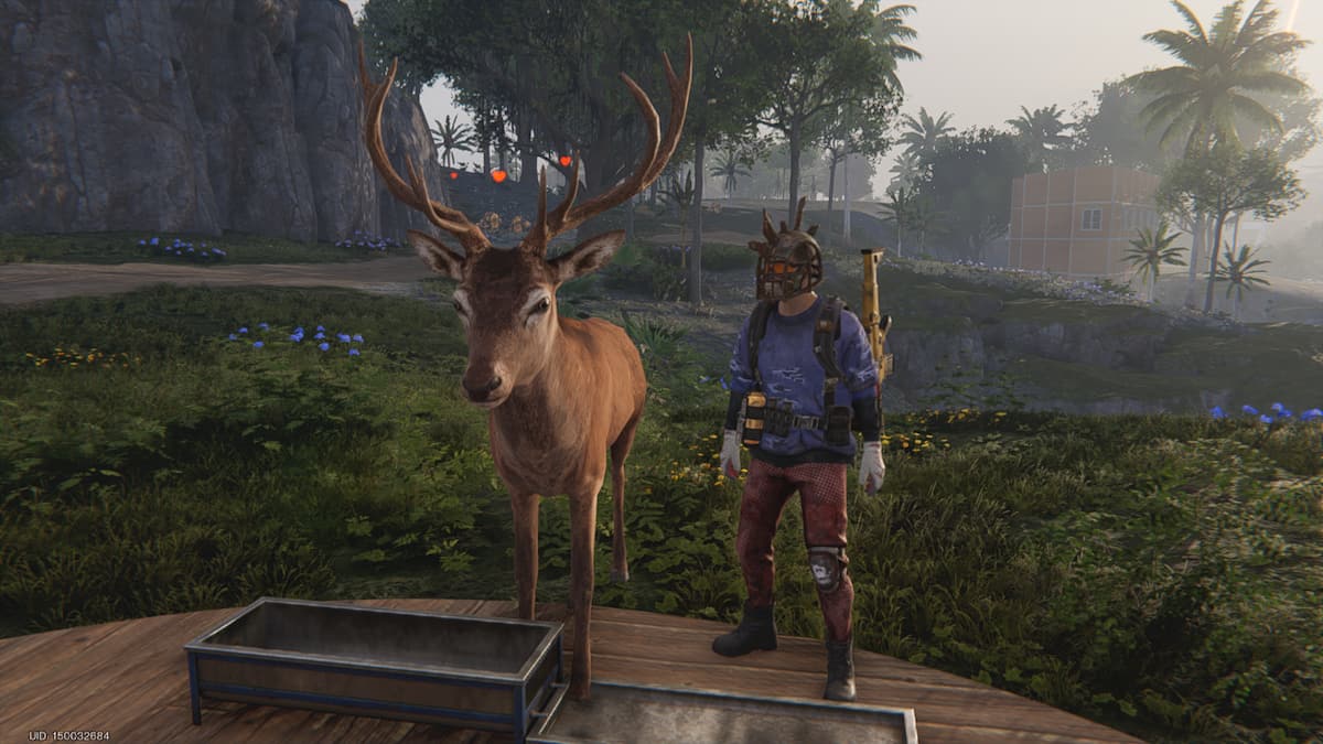 Picture showing a tamed Buck animal and a player together in Once Human.