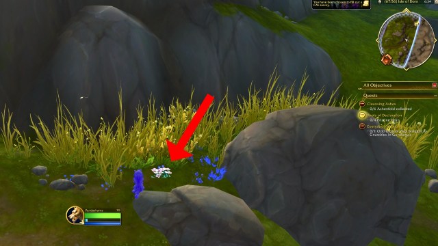 A red arrow pointing to an ashenfold flower in wow the war within