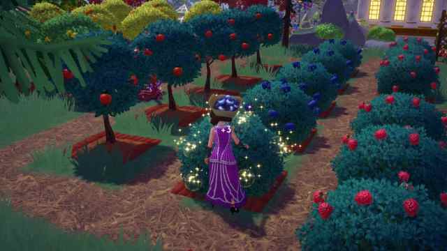 Harvesting Blueberries in Disney Dreamlight Valley.