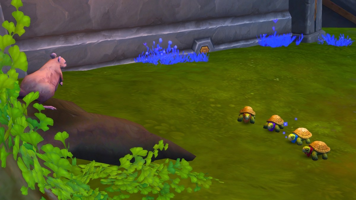 A rat and four Dalaran Sewer Turtles standing on grass in WoW The War Within