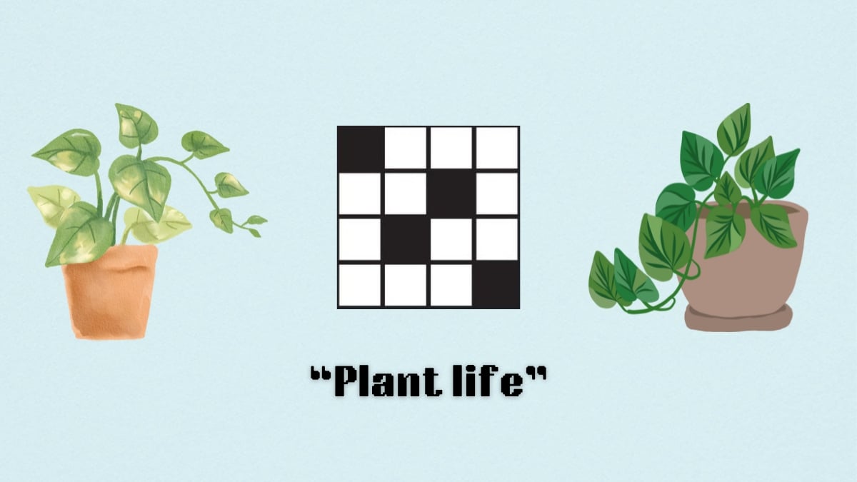 Two potted plants next to a crossword puzzle icon above the clue, plant life, for the aug. 12 nyt mini crossword puzzle