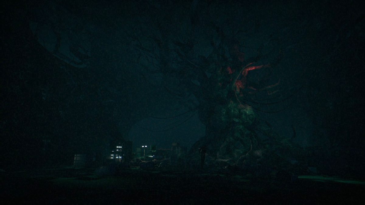 A cinematic shot of Mica walking towards the Mother tree