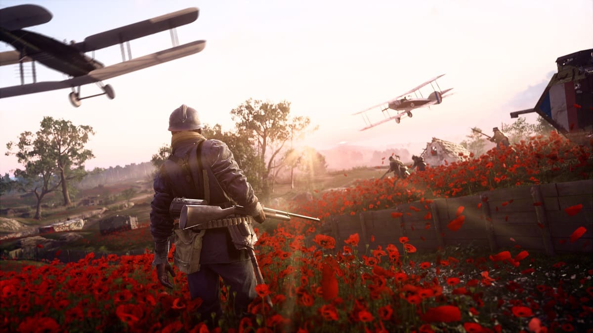 A soldier stands on a battlefield of red flowers with more soldiers in the background and planes flying overhead