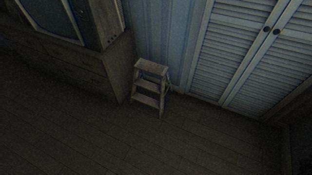 Looking down at the step ladder next to the closet in Woodbury Getaway