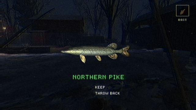 A caught Northern Pike with keep or throw back options