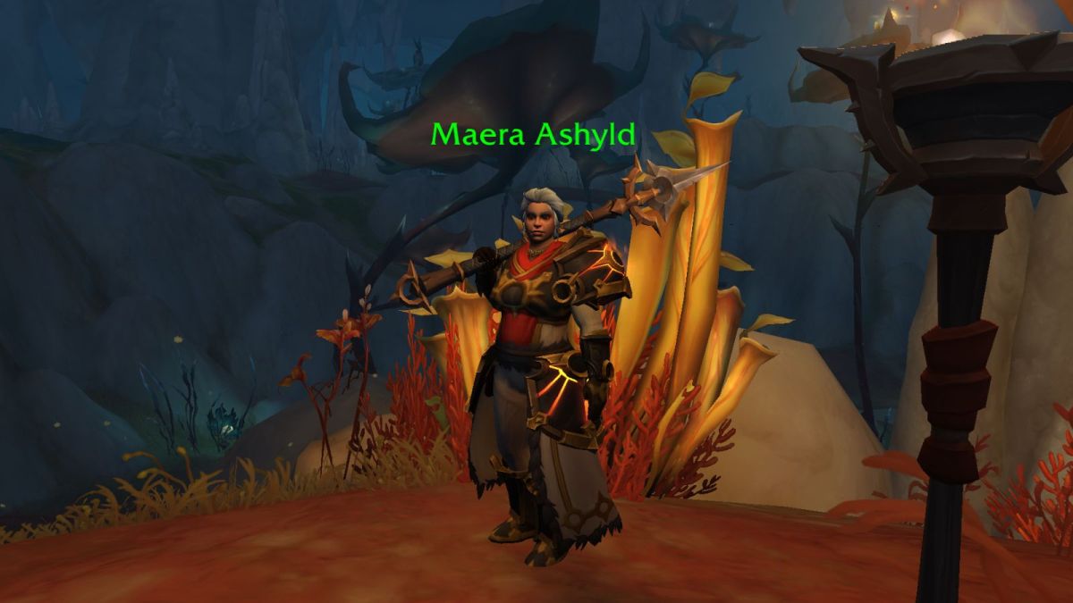 Maera Ashyld NPC in Hallowfall in World of Warcraft.