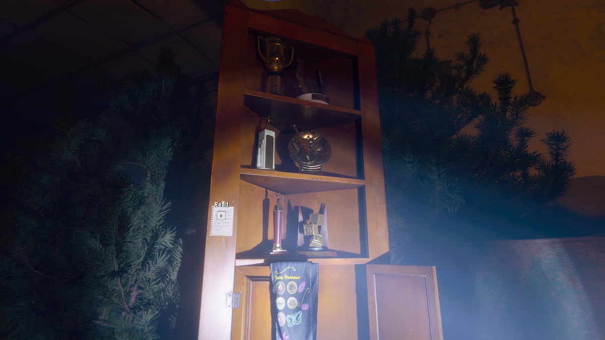 Trophies minus badges in Black Ops 6