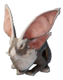 A hophare, a bunny-like creature with 4 massive ears, in Enshrouded