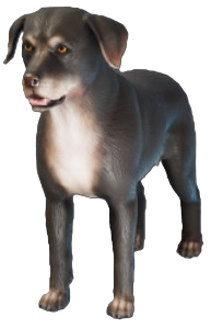 A screenshot of a dark brown dog with white on its chest and muzzle. This is Ikko from Enshrouded.