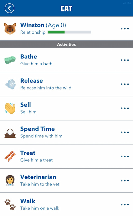 Picture showing the ways to increase relationship with cat in Professor of Cityburg challenge of Bitlife.